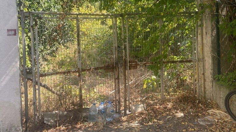 27 bin metre karelik fidanlık ranta açılıyor