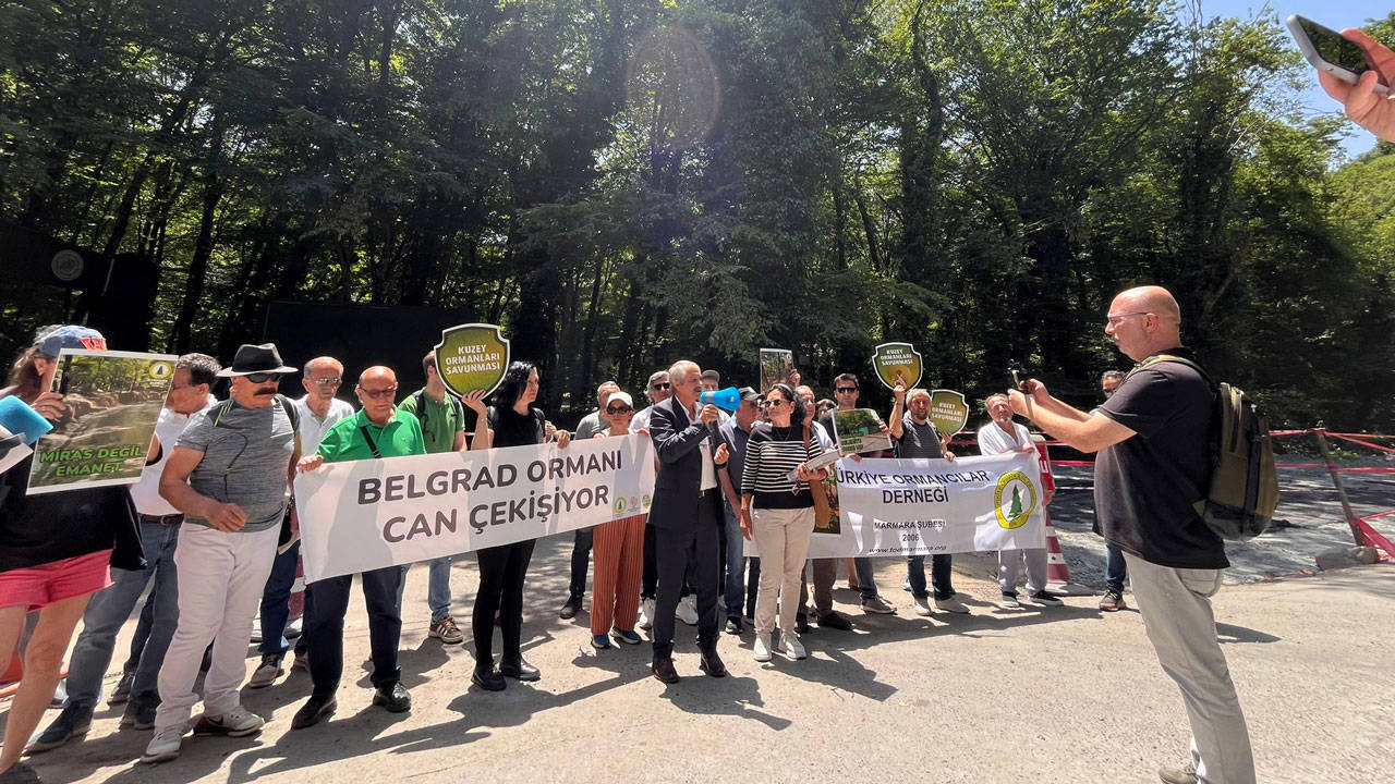 Belgrad Ormanında talan artıyor!