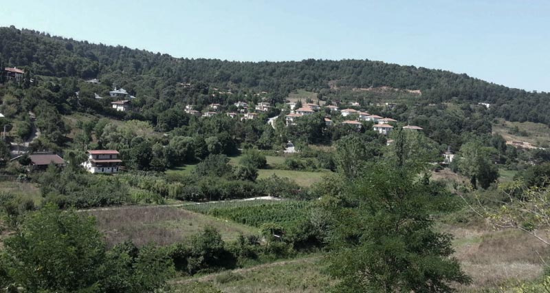 Beykoz'da doğa talanı için yeni adım..