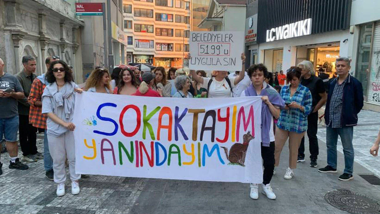 Kadıköy'de sokak hayvanlarına sahip çıktılar: